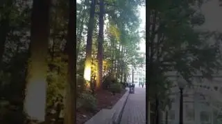 Starlight Snoopy 6-25-17 Kings Dominion