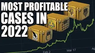 The MOST PROFITABLE Cases To Buy in 2022 (Investing) (CSGO)