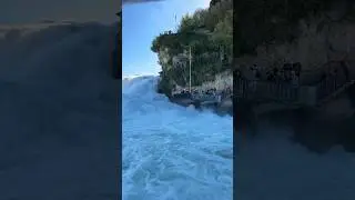 Rhine falls Switzerland❤️ #switzerland #rhinefalls #europe #holiday #adventure #viral #lake #boat