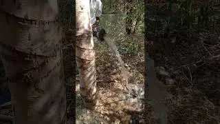 बिना बिजली बिल के खेती||PM Kusum scheme |Topsun solar system