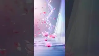 (Video-WP)[HOT] Pearl Mirage