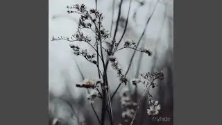 We Didn't Talk For A While