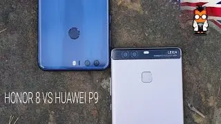 Honor 8 vs Huawei P9 - What's the Difference?