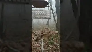#мелодіявітру #музикавітру