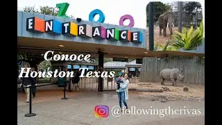 Zoológico de Houston Texas|Conoce el Zoológico de Houston|Houston Zoo