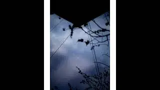 Jeffrey Earl Jacobus - Slow Dissolve
