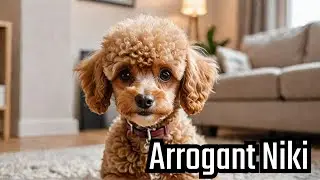 Kevin is Jealous of Niki #toypoodle #comedylovers #nikiangry #comedyshorts #cutedog #comedyvideos