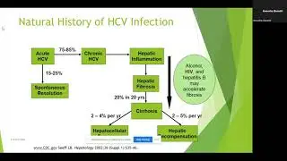 ECHO 2022 Session 19: Primary Care and Liver Health