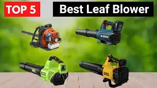Top 5 Best Leaf Blowers | Powerful Blower for Yard Cleaning & Leaves Removal