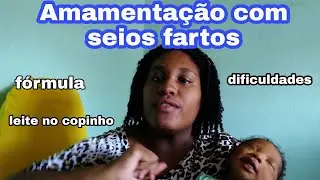 AMAMENTA&Ccedil;&Atilde;O | MINHAS DIFICULDADES | SEIOS FARTOS | MAMA GRANDE