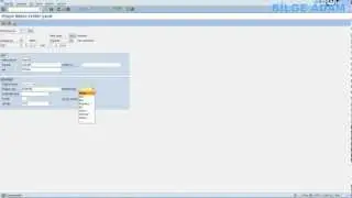 2 SAP HR  PERSONEL TANIMLAMA İŞLEMLERİ 1
