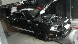 Black Mamba kenne bell 4.2 @1400 hp