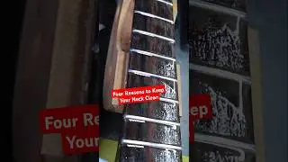 Four Reasons to Clean Your Guitar | Guitar Care #guitar #fender #telecaster #gibson #stratocaster