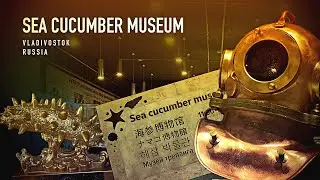Sea Cucumber Museum