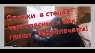 Вскрыл стены утеплённые опилками, а там плесень, сырость, усадка отсутствуют.