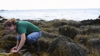 Marine Environmental Science: high school student experience