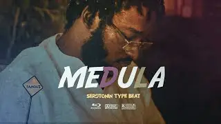 Medula - Serotonin Type Beat | Afrosoul | ViralBeat