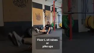 floor L sit raises or pike up