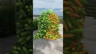Create vegetable and fruit characters🌽🥭 that can move and collision...