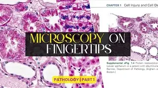 Microscopy on Fingertips | Pathology Images Quick Revision | Part 1 | mbbspathology