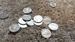 Results from a long Coin roll hunt!