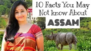 10 Facts You May Not Know About Assam| Plenty facts | Assam (India)| Facts About Assam 2018| Assam