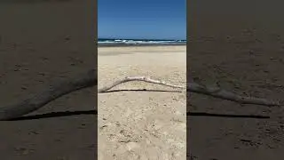Quiet Windy Beach