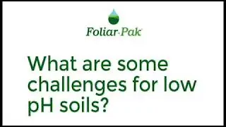 What Are Some Challenges for Low pH Soils?