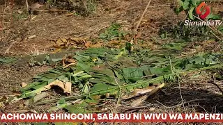 MOROGORO: AUAWA KWA KUCHOMWA NA KITU CHENYE NCHA KALI SHINGONI,  CHANZO NI WIVU WA KIMAPENZI.