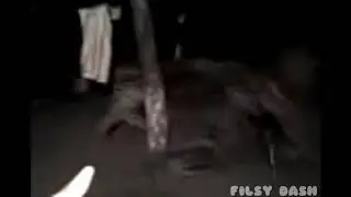 EL CHANEQUE ENCUERADO CON VOZ DE LOQUENDO Y M&Uacute;SICA DE BOB ESPONJA DE FONDO
