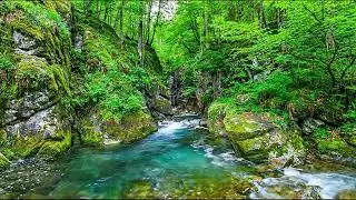 Deep Brain Relaxation with Piano Therapy Music