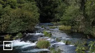 River in Motion | Natural White Noise (Croatia)
