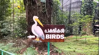 Thiruvananthapuram Zoological Park; Birds Part 1 (4K ULTRAHD HDR10+ 60FPS)