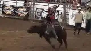 6705 Prime Logic - Santa Barbara PRCA 08
