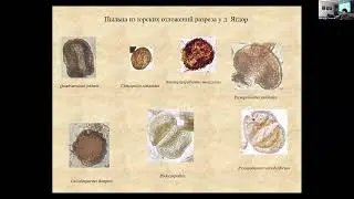 16 - Селькова Л.А. - Палинокомплекс из келловейских отложений у с. Вотча