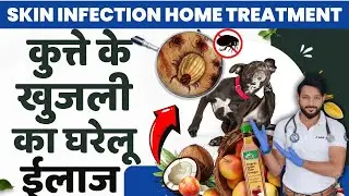 कुत्तो मे खुज्ली का घरेलू इलाज | दवा | Dog Ki Khujli Ka Ilaj  |  Dog Skin Infection  | In Hindi