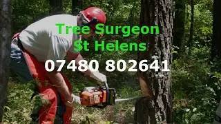 Tree Surgeon St Helens Tree Felling Pruning Stump & Root Removal Services Commercial & Residential