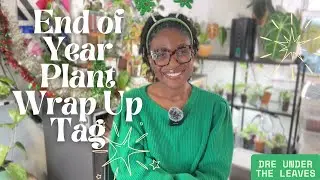 My 2025 Plant Wrap-Up 🌿 | @wildfern Plant Tag & Reflections | Day 12 of 12 Days of Christmas 🎄