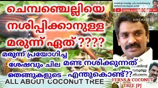 ചെമ്പൻ ചെല്ലിയിൽ നിന്നും തെങ്ങിനെ ഏങ്ങനെ സംരംക്ഷിക്കാം / PROTECT COCONUT TREE FROM RED PALM WEEVILE.