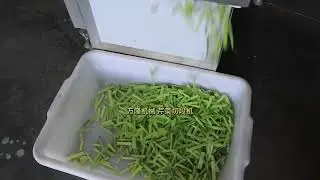 Best Celery Cutter for Commercial Use &ndash; Fast, Durable, Easy Clean