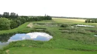 Saalbachniederung Storchenberingung - NABU Feuchtbiotop