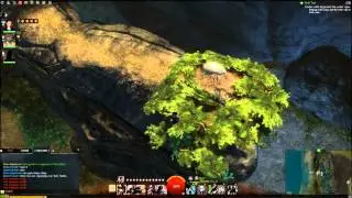 Griffonrook Run Jumping Puzzle - Lornar's Pass