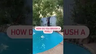 Replastered Pool | How to brush a pool? #shorts