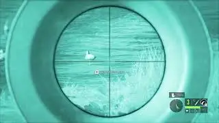 4 Ducks Down! Clean Hunting Shot | The Hunter Call of the Wild