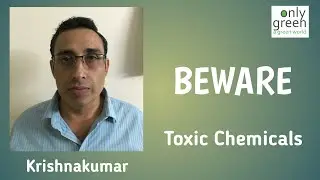 Toxic Chemicals | Health Hazard | Only Green