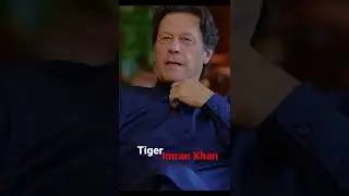 Imran Khan #Brave leader # Tiger#shorts