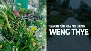 Ke Kedai Pasu dan Bunga Weng Thye Brothers (Lot54) Tropicana