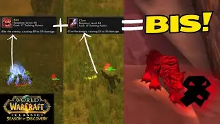 How To Learn RANK 6 Bite and Claw BIS Hunter Cat Pet Abilities! - WoW Classic Season of Discovery