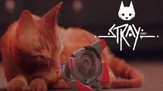 Прохождение Stray  &mdash; #9: ФИНАЛ      PC [4K 60FPS ULTRA]
