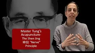 The Hidden Logic Behind Master Tung&rsquo;s Point Indications